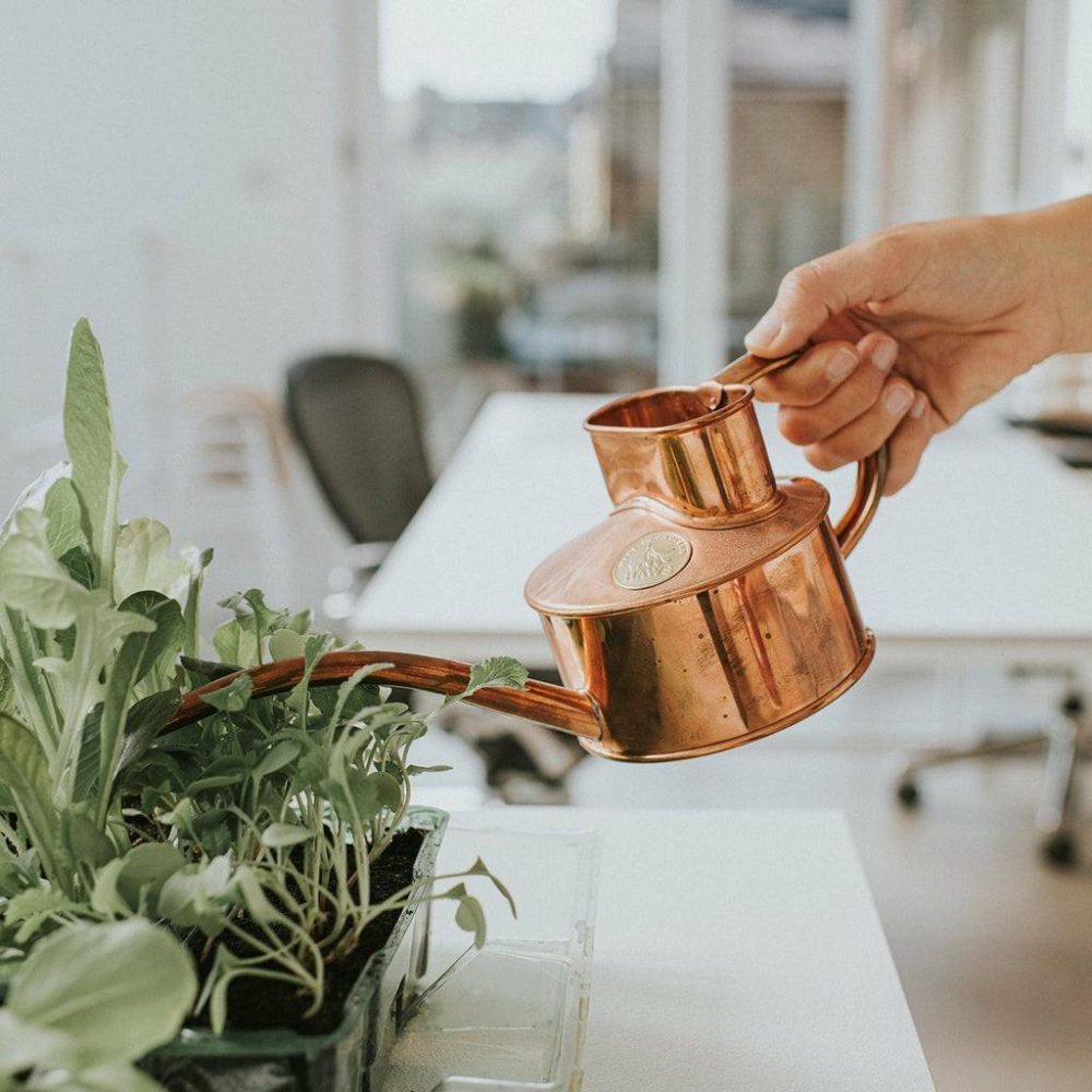 Gardening Tools | The Fazeley Flow (One Pint) Copper Garden Copper