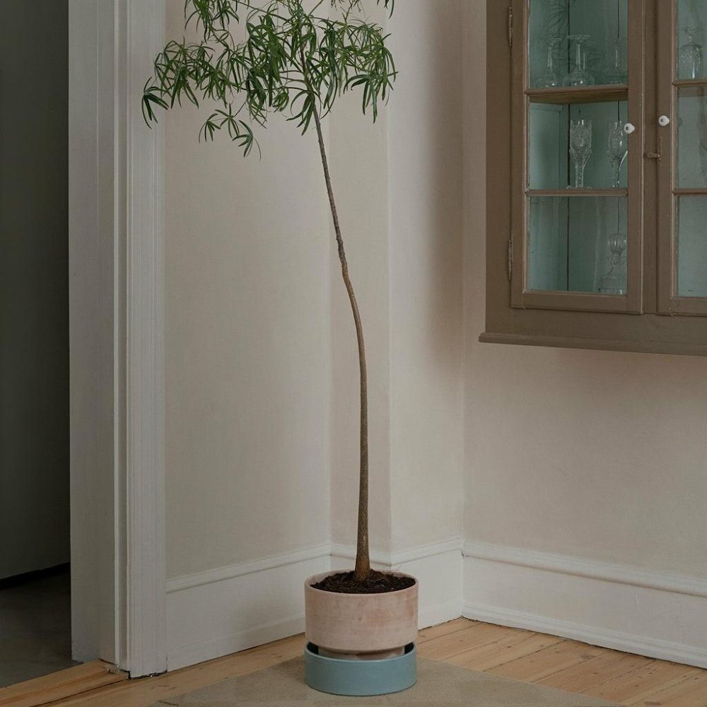 Pots + Planters | Hoff Saucer Ø30 Decor Pots + Planters