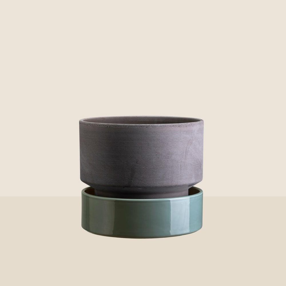 Pots + Planters | Hoff Saucer Ø30 Decor Pots + Planters