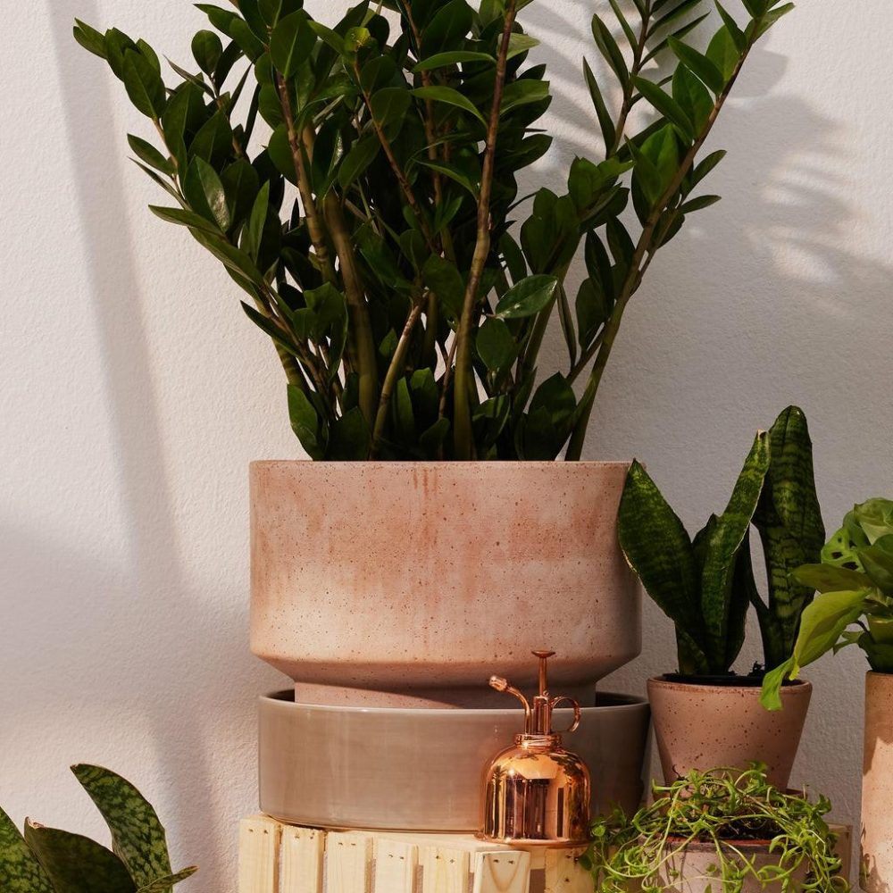 Pots + Planters | Hoff Saucer Ø30 Decor Pots + Planters