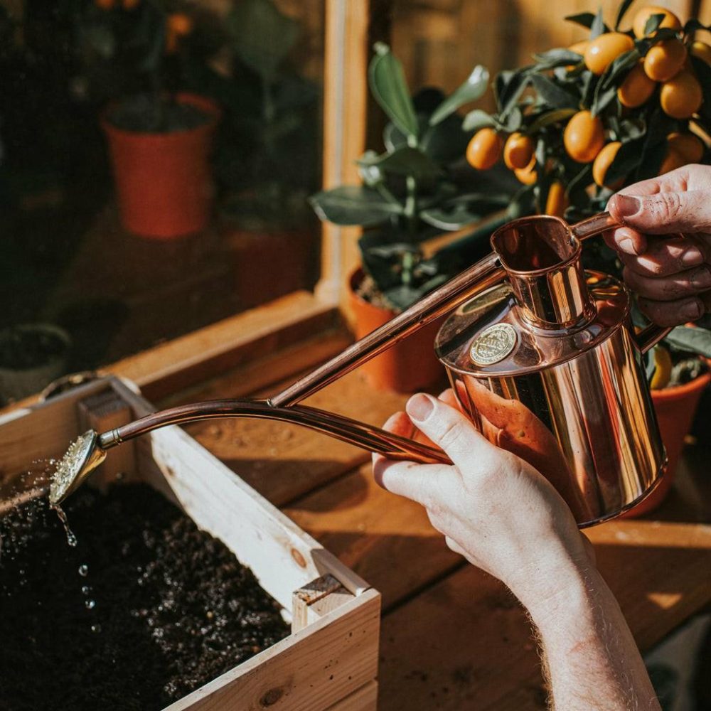 Watering Cans | The Rowley Ripple (Two Pint) Garden Gardening Tools