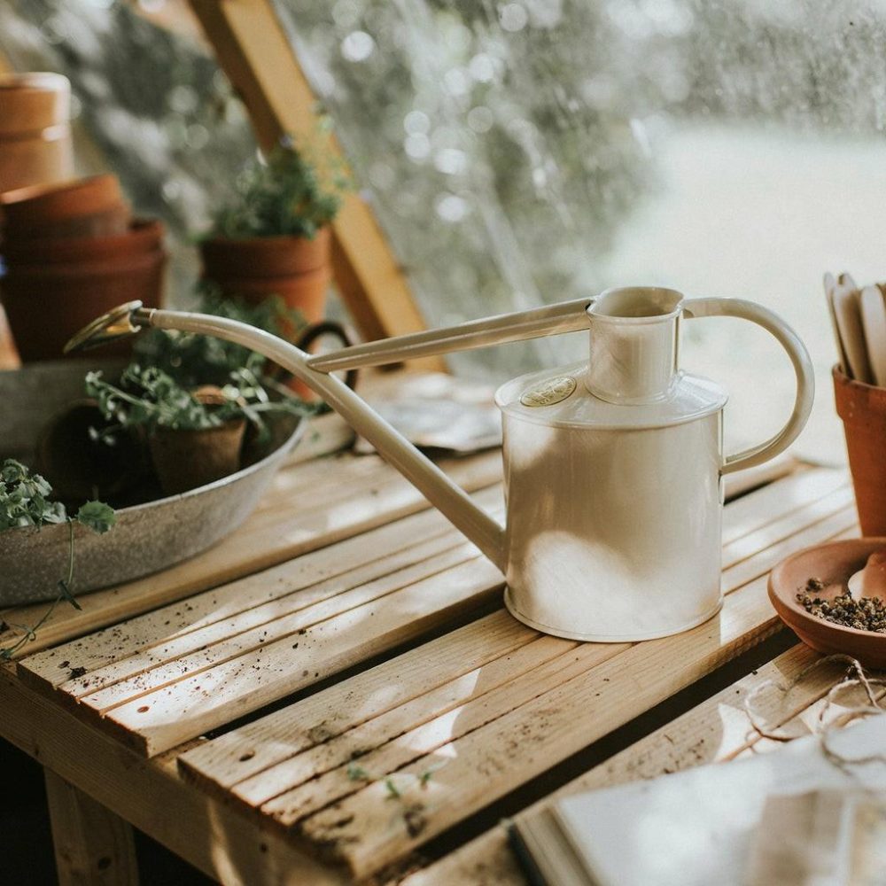 Watering Cans | The Rowley Ripple (Two Pint) Garden Gardening Tools