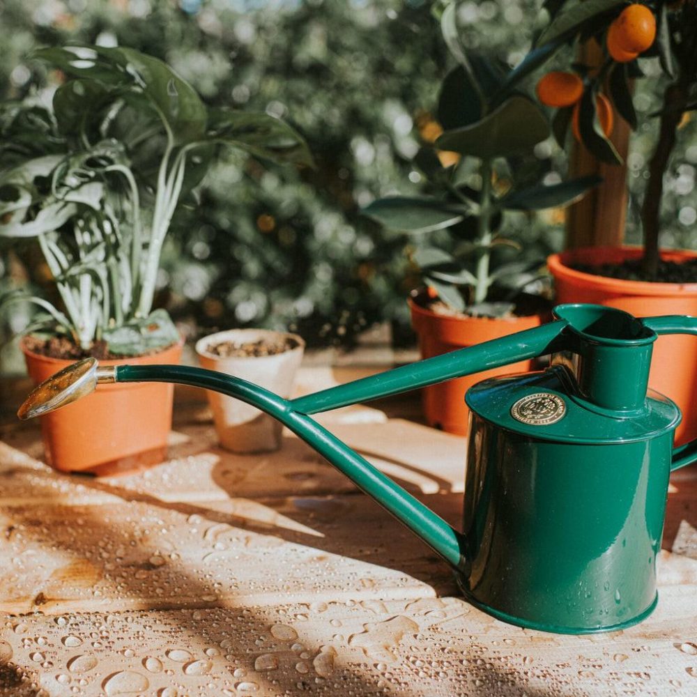 Watering Cans | The Rowley Ripple (Two Pint) Garden Gardening Tools