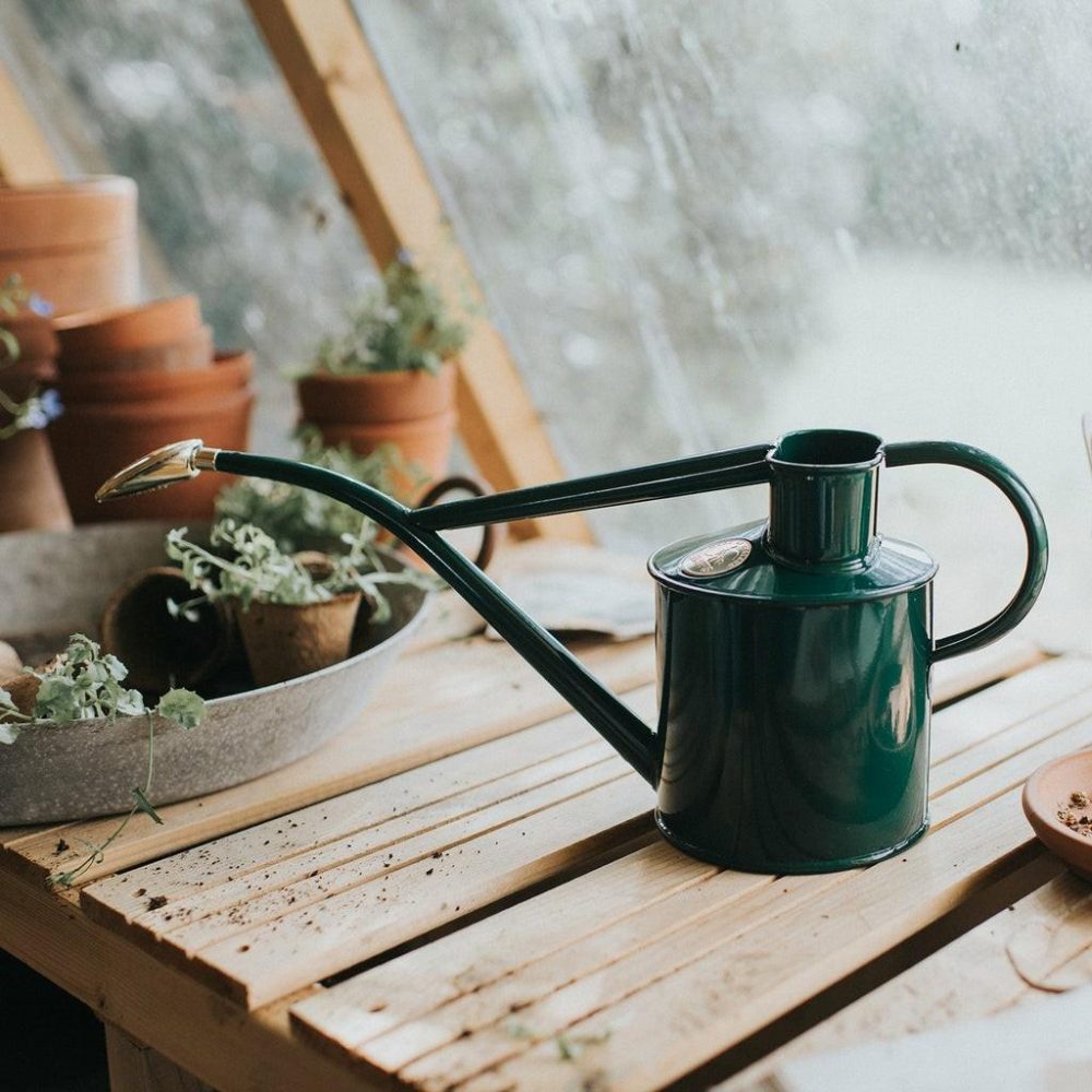 Watering Cans | The Rowley Ripple (Two Pint) Garden Gardening Tools