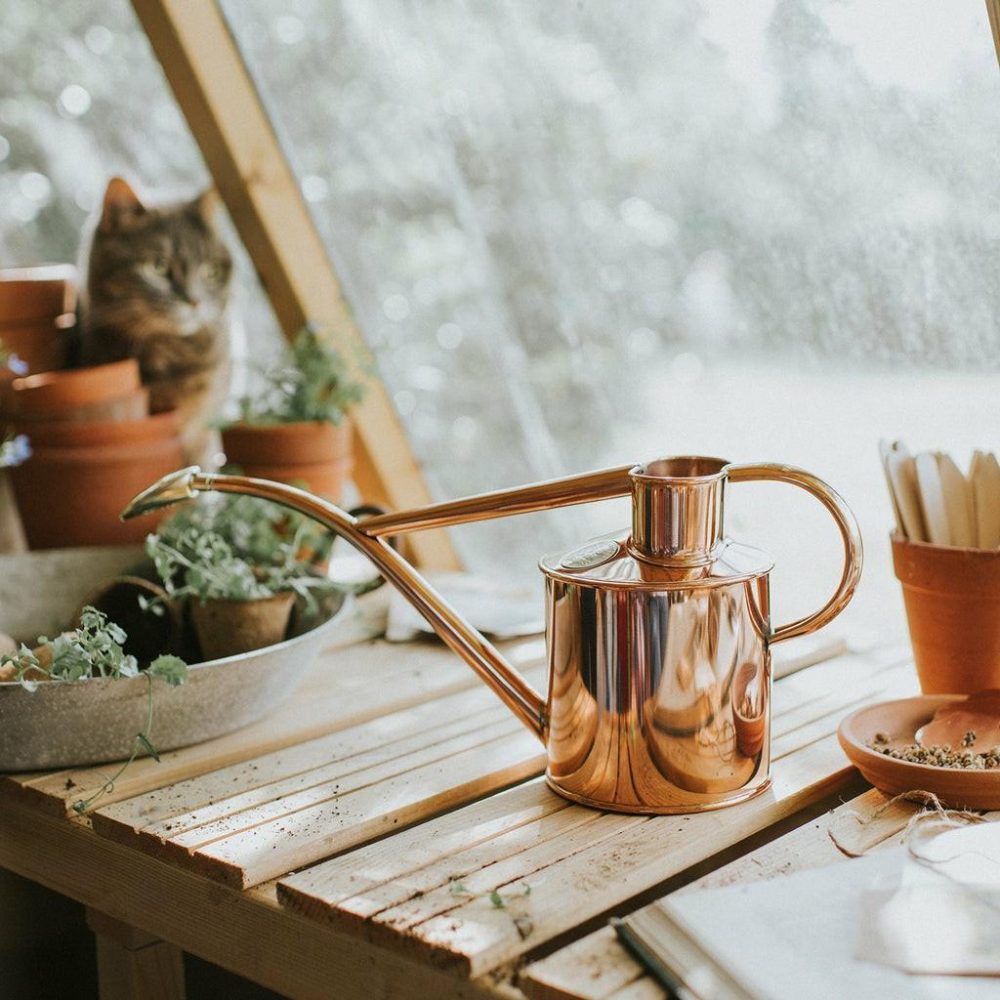 Watering Cans | The Rowley Ripple (Two Pint) Garden Gardening Tools