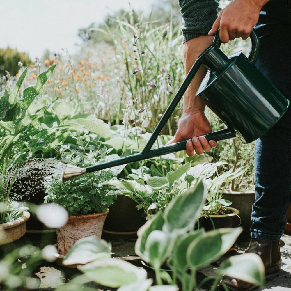 Watering Cans | The Warley Fall (One Gallon) Green Garden Gardening Tools