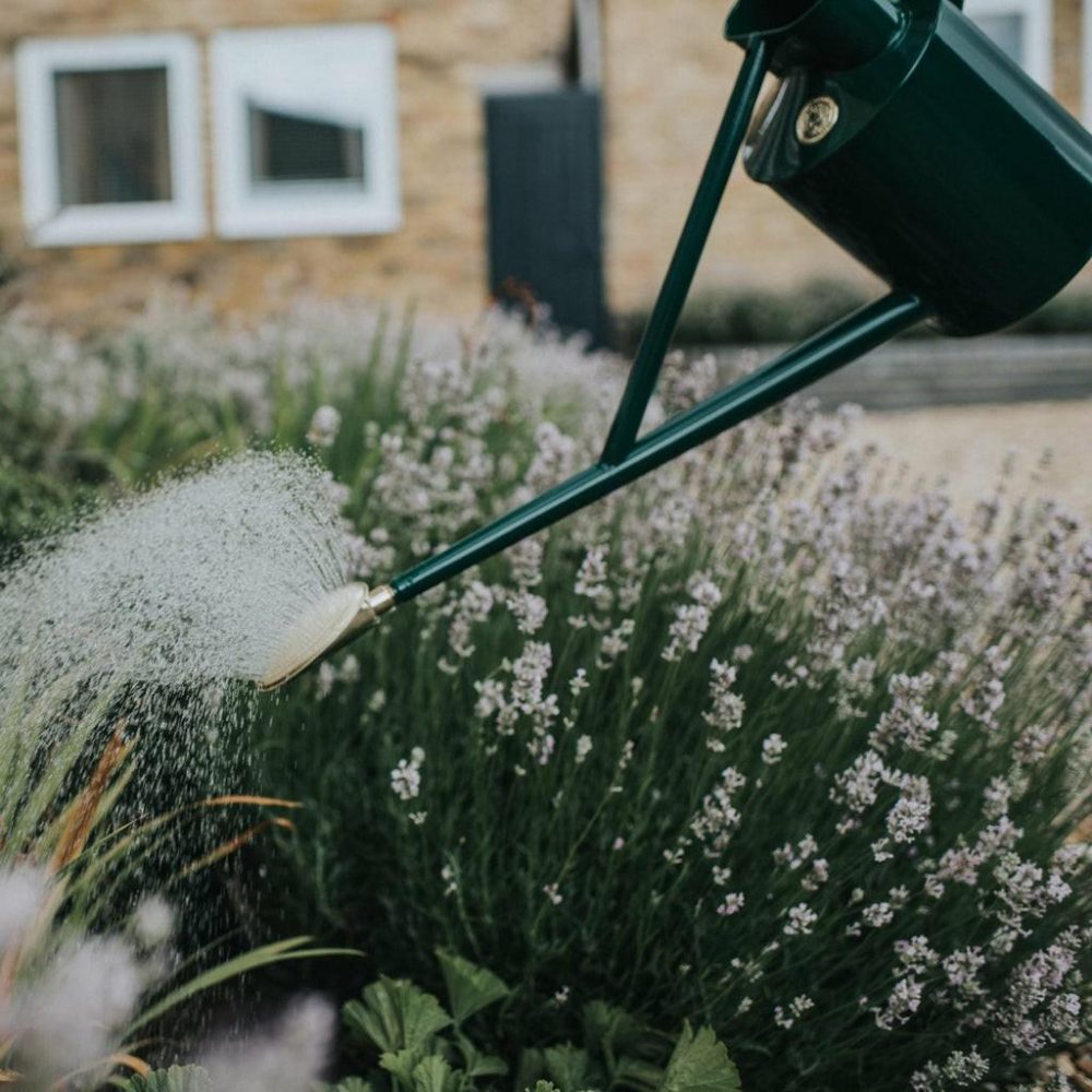 Watering Cans | The Warley Fall (One Gallon) Green Garden Gardening Tools