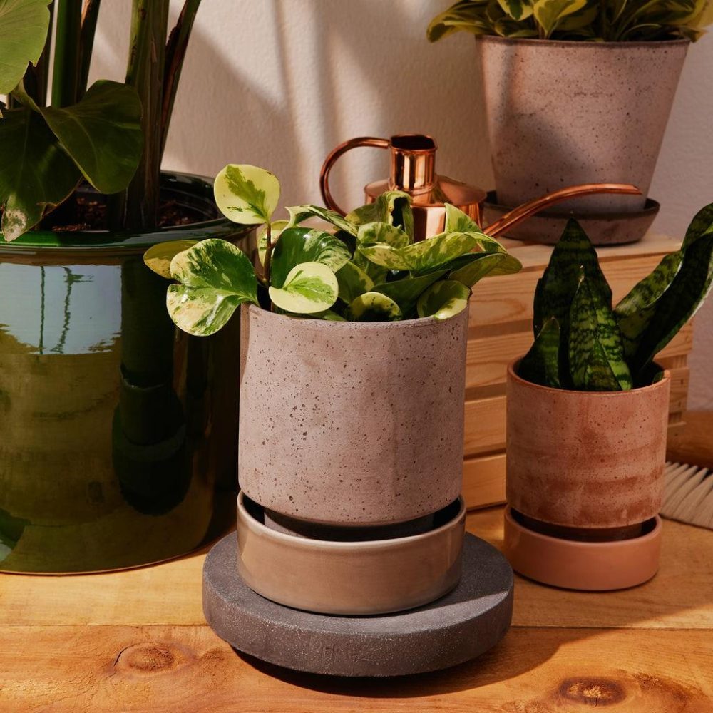 Pots + Planters | Plant Trolley Ø25 Dark Stone Decor Dark Stone