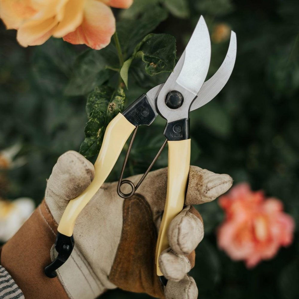 Gardening Tools | Mainichi Secateurs Garden Gardening Tools