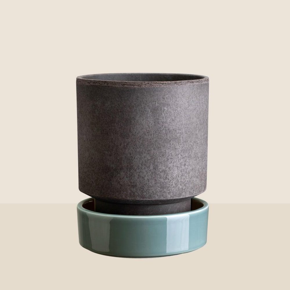 Pots + Planters | Hoff Saucer Ø14 Decor Pots + Planters