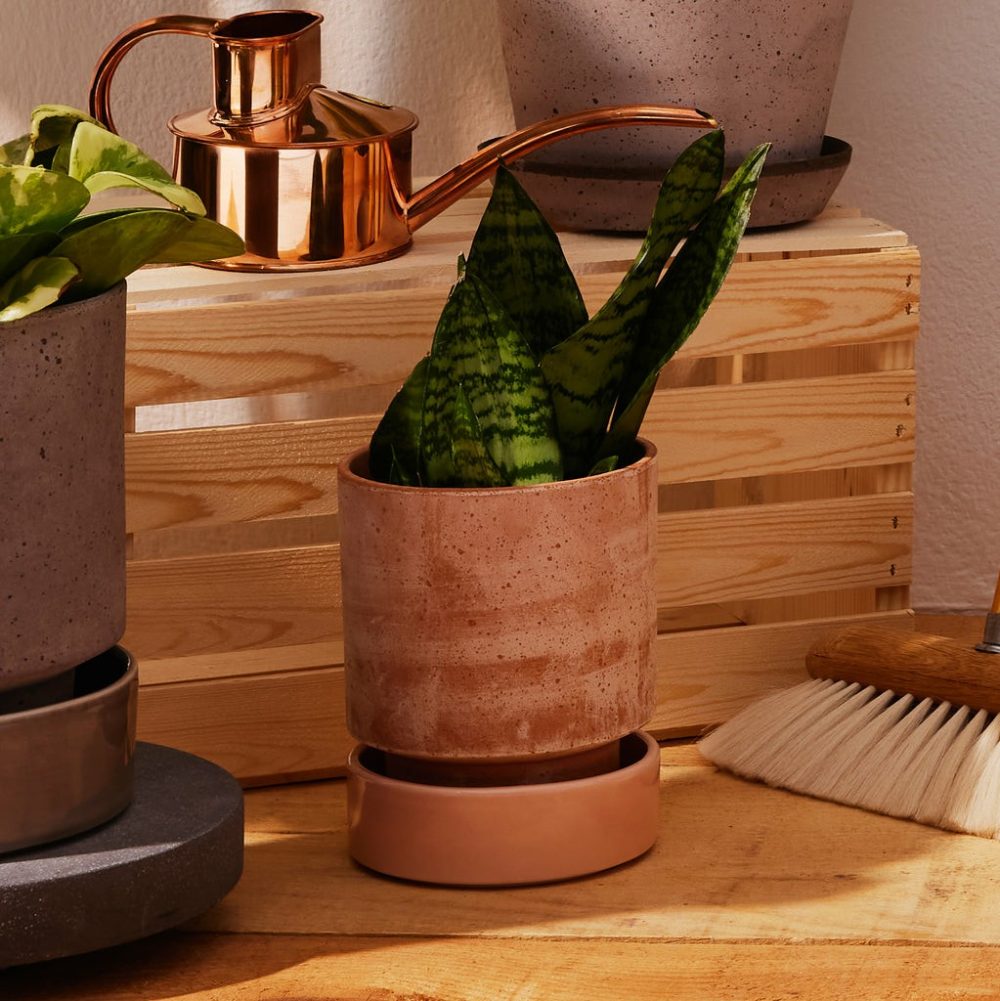 Pots + Planters | Hoff Saucer Ø14 Decor Pots + Planters